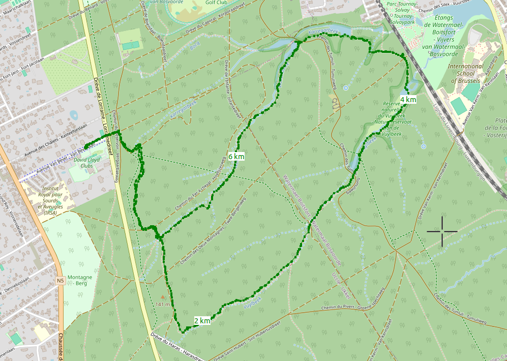 Sentier des Nations Unies - Forêt de Soignes 